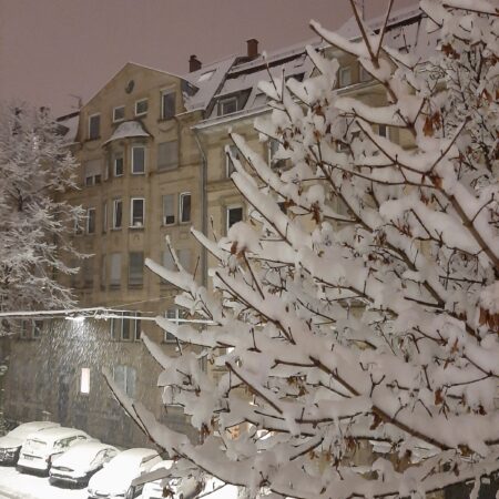 Schneehauben in der Stadt auf Ästen und Autos